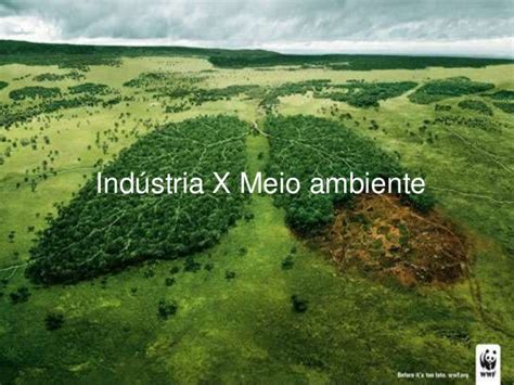 Industria Vs Meio Ambiente