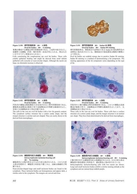 Atlas of urinary_sediment