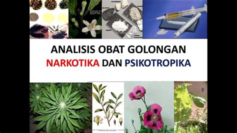 Analisis Farmasi Analisis Obat Golongan Narkotika Dan Psikotropika