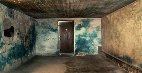 Cremation Oven Room At Auschwitz Holocaust Concentration Camps