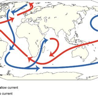 Simplified schematic of thermohaline circulation around the Earth. Red ...