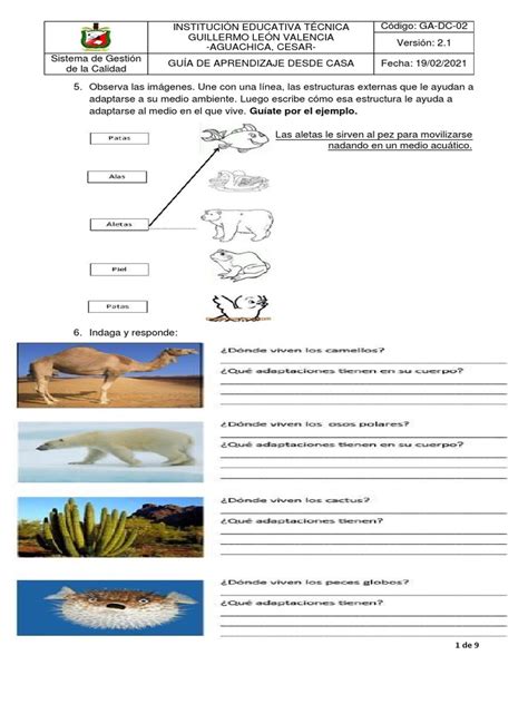 Adaptaciones Y Relaciones Entre Los Seres Vivos Pdf Simbiosis Depredación