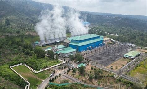 Gandeng Pertamina Geothermal Pln Mau Garap Proyek Pltp