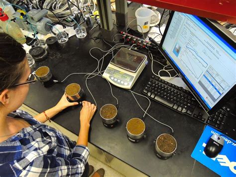 Graduate Forms | Department of Plant Biology