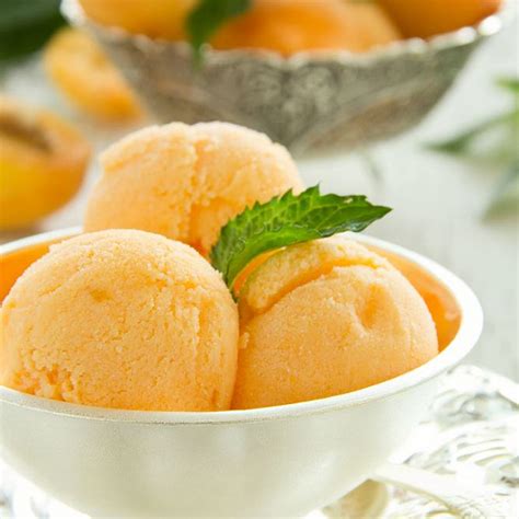 Recette Sorbet Labricot Facile Rapide