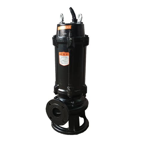 60m3 H Flow 30m Head 11kw Vertical Centrifugal Submersible Sewage Pump