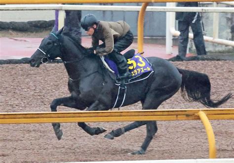 【ジャパンc】ヴェラアズール雄大 順調そのもの！馬なりで栗東cwラスト1f11秒3競馬・レースデイリースポーツ Online