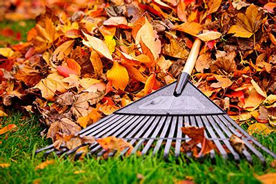 Fall Clean Up Ken Steenstra Landscaping