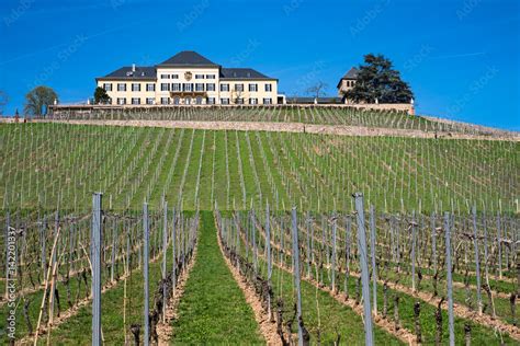 Schloss Johannisberg Stock Photo | Adobe Stock