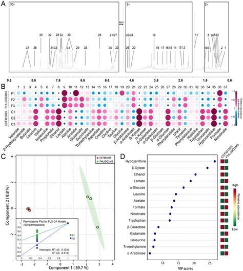 H Based Nmr Metabolomics Analysis Of Bacterial Fermentation Products