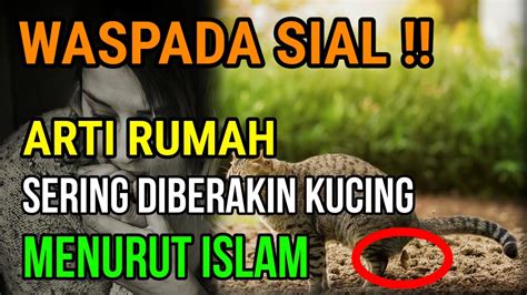 Lebih Baik Waspada Arti Rumah Sering Diberakin Kucing Menurut Islam