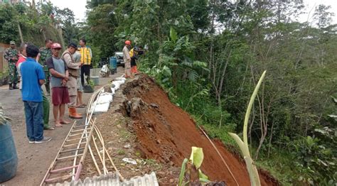 Tebing Longsor Jalan Penghubung Tiga Desa Di Majenang Terancam Putus