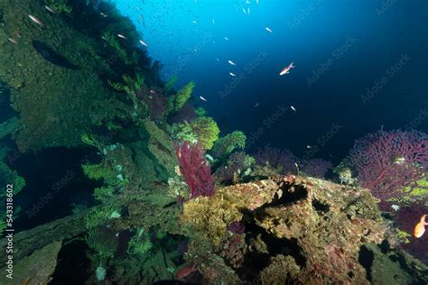 Relitto Di Una Nave Affondata Nella Seconda Guerra Mondiale Vicino A