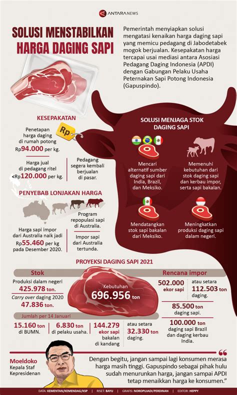 Solusi Menstabilkan Harga Daging Sapi Infografik ANTARA News