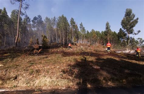 Queimas E Queimadas Proibidas At De Outubro Na Regi O Viseu D O