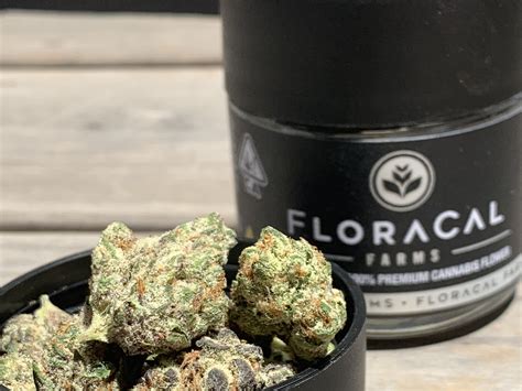 Floracal Dosidos 18th Kure Wellness Medical And Recreational