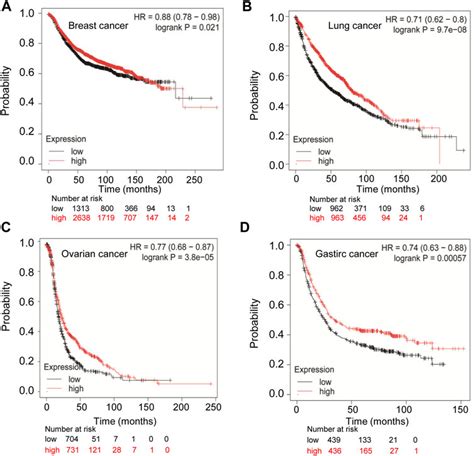 Frontiers Tmprss2 Serves As A Prognostic Biomarker And Correlated With Immune Infiltrates In