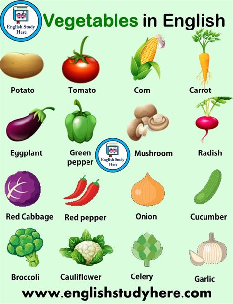 Vegetables Names in English - English Study Here | Name of vegetables ...