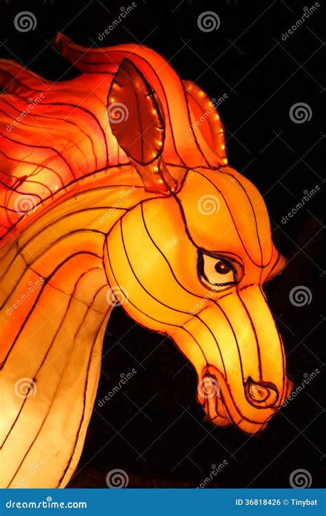 Chinese Horse Lantern Stock Photo Image Of Horse Culture 36818426