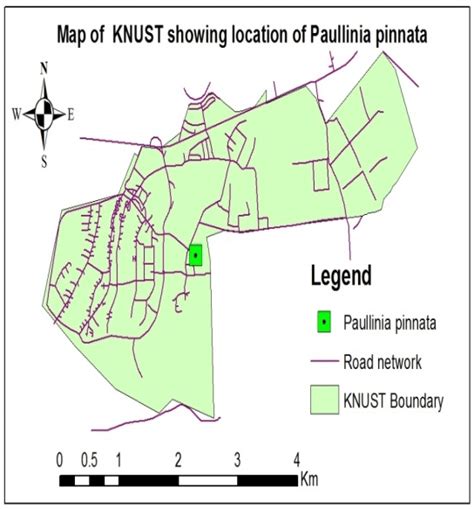 Map of KNUST showing the location of P. pinnata | Download Scientific ...