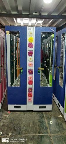 2 Door Iron Almirah, With Mirror, With Locker at Rs 15500/piece in ...