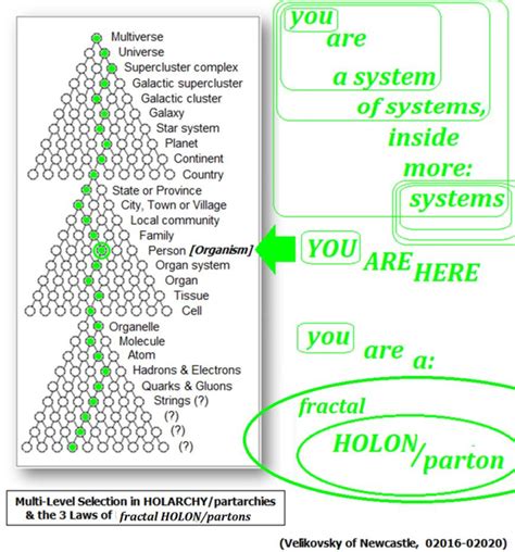 The Three Laws Of Fractal HOLON Partons And Ev Cult S Unitary Systems