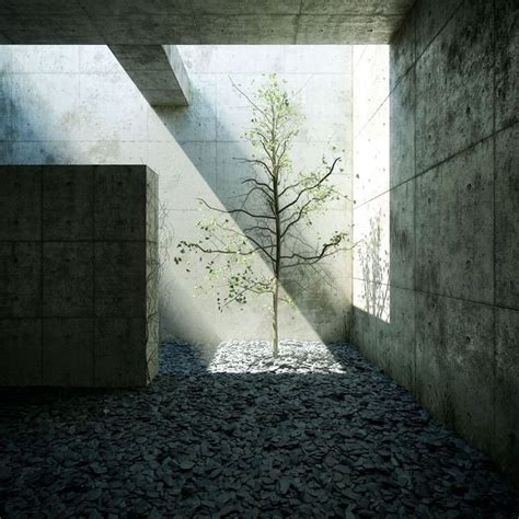 Chichu Art Museum by Tadao Ando: Art museum in the Earth - RTF | Rethinking The Future