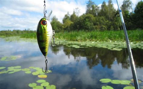 Bass Fishing Wallpaper HD PixelsTalk Net In 2020 Fish Wallpaper