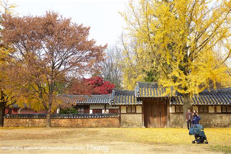 전주 한옥마을 경기전 가을단풍 전주여행전주데이트전주스냅 네이버 블로그