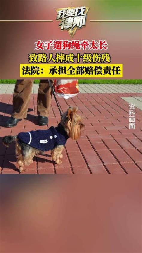 女子遛狗绳牵太长，致路人摔成十级伤残，法院：承担全部赔偿责任电瓶车新浪新闻