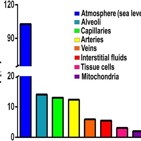 Components In Mitochondrial Respiratory Chains Most Mitochondrial