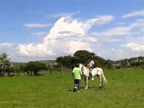 El Vaquero Gay YouTube