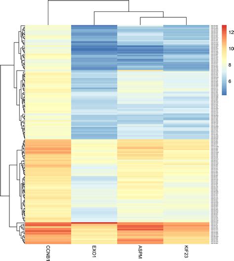 Comprehensive Analysis Reveals A 4 Gene Signature In Predicting