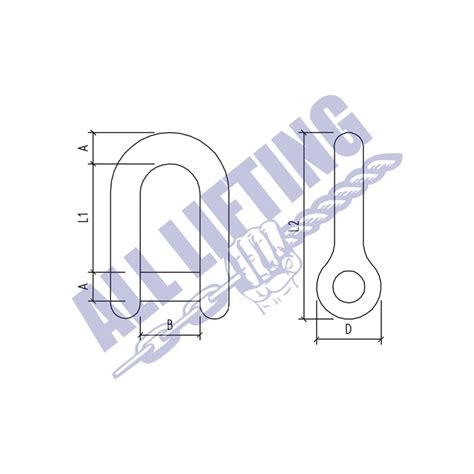 Stainless Steel Wide Dee Shackle Diagram All Lifting