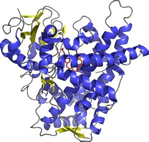 Scott Lab | Research