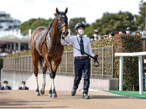 【東京4r新馬戦結果】外国産馬パライバトルマリンが5馬身差の圧勝 競馬ニュース Netkeiba