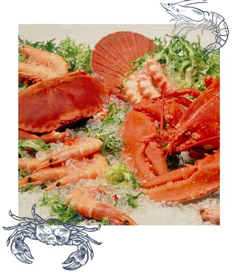 Halal Seafood Supplier Malaysia Fresh Seafood Supplier Selangor