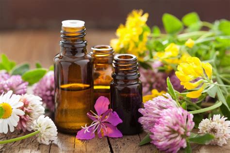 Aromathérapie le soin par les huiles essentielles