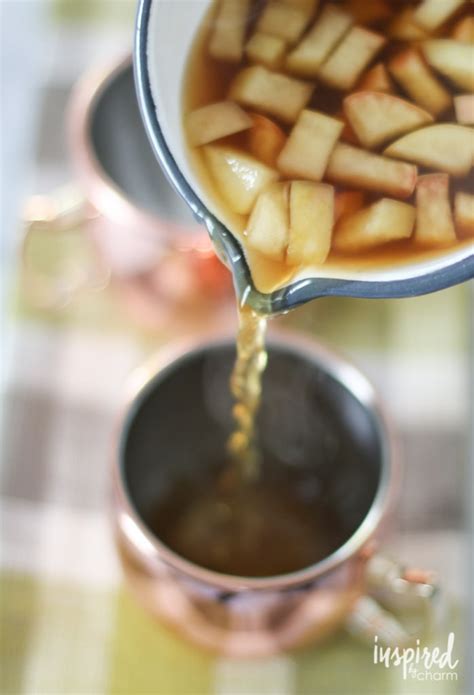 Apple Cinnamon Hot Toddy Recipe Tasty And Warm Fall Cocktail
