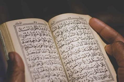 Hukum Tajwid Surat Al Isra Ayat 32 Lengkap Dengan Arab Latin Dan Terjemahan Sonoraid