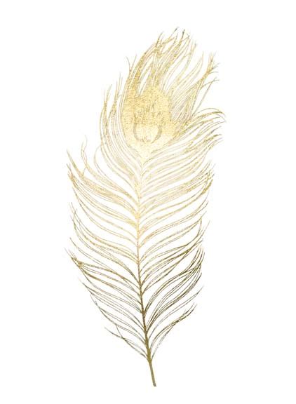 Gold Foil Peacock Feather II - Picture This Wall Art