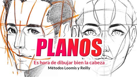 COMO DIBUJAR LOS PLANOS DEL ROSTRO Y CABEZA Método Loomis y Reilly