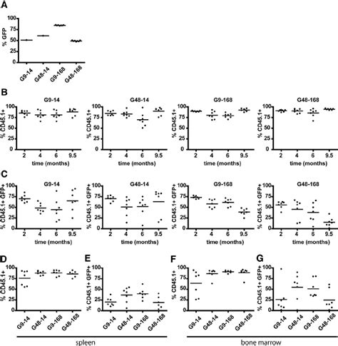 Chimerism And Gene Marking Of Donor Derived Cd451 ؉ Peripheral Blood