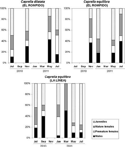 Abundance Of Each Sex And Age Group Of Caprella Dilatata In El