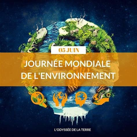 Monde La Journée Internationale De Lenvironnement 2020 Met Un Accent