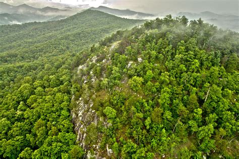 Ecoforestry for Forest Landowners