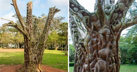 The Tree Of Life At Aburi Botanical Gardens A Remarkable Carved