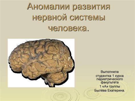 Аномалии развития нервной системы человека - презентация онлайн