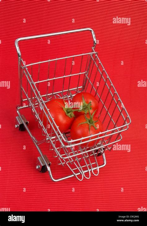 Tomatoes In A Shopping Cart Stock Photo Alamy