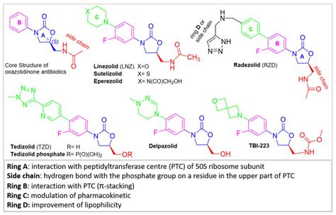 Core Structure Of Oxazolidinone Antibiotics And Molecular Structures Of